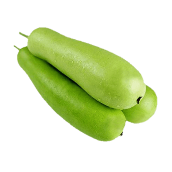 Bottle-Gourd
