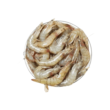 horina