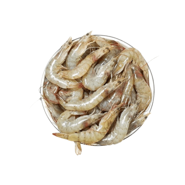 horina