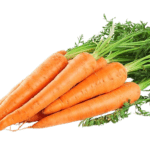 carrot