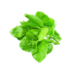 pui